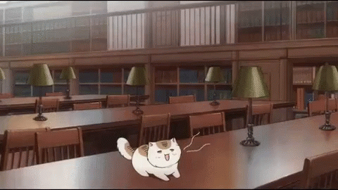 cats-library.gif