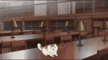 Cats Library GIF - Cats Library Anime GIFs