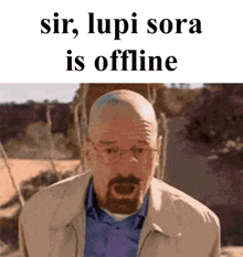 a picture of a man with a beard and glasses says sir lupi sora is offline