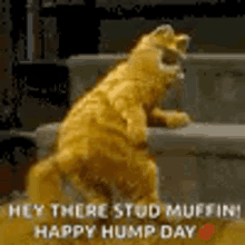Garfield Dance GIF - Garfield Dance Sexy GIFs