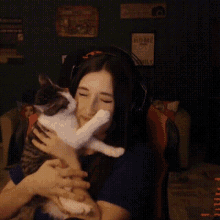 Pqueen With Cat GIF - Pqueen With Cat GIFs