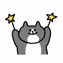 cat gray star happy delight