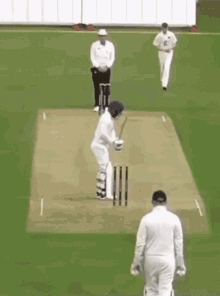 cricket stumps wicket swing deathrattle