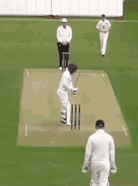 Cricket Stumps GIF - Cricket Stumps Wicket - Discover & Share GIFs Cricket Stumps GIF - Cricket Stumps Wicket - Discover & Share GIFs
