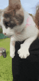 a calico cat is sitting on a person 's shoulder in a field .