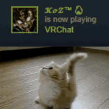 Koz Playing Vrc GIF