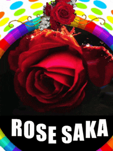 Rosesaka GIF - Rosesaka GIFs