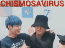 Yeonbin Chismosavirus GIF