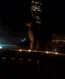 a cat is sitting on a railing at night