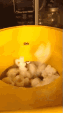 Popcorn Munchies GIF - Popcorn Munchies Popping GIFs