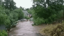 a flooded road with a house in the background and a few trees