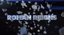 Roman Regins  GIF - Wwe Fight Hit GIFs