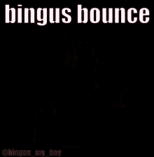 Bingus Bounce GIF - Bingus Bounce Bingus Bounce GIFs