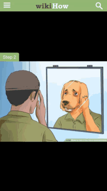 a man looking at himself in a mirror with a dog 's face