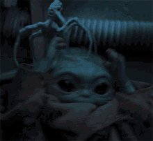 Insects Head GIF - Insects Head Baby GIFs