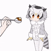 a person is feeding a raccoon with a spoon .