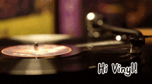 Vinyl Hi GIF - Vinyl Hi GIFs