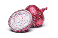 Red Onion Purple Onion Sticker