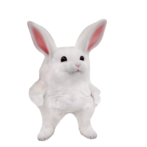 Bunny Fella Sticker - Bunny Fella Nafo Stickers