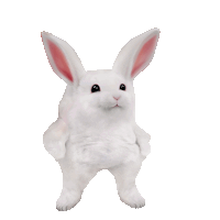 Bunny Fella Sticker