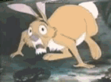 The Many Adventures Of Winnie The Pooh Rabbit GIF - The Many Adventures Of Winnie The Pooh Rabbit Scared GIFs