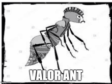 Valorant Awesome GIF - Valorant Valor Ant GIFs