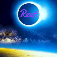 Reef Defi GIF - Reef Defi Nft GIFs