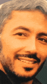 a man with gray hair and a beard smiles for the camera