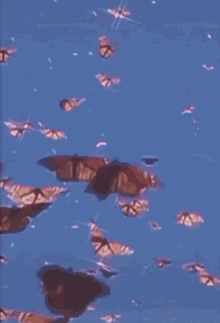 Butterfly Sparkle GIF - Butterfly Sparkle Flying GIFs
