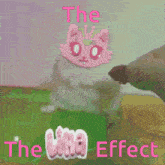 a pink cat is on a purple background with the words the lina effect below it