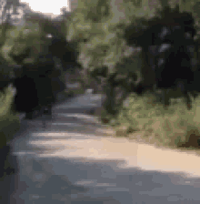 a blurred image of a road surrounded by trees and grass .