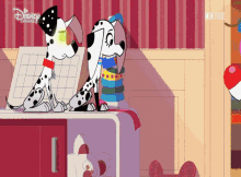 two dalmatian dogs sitting next to each other on a table with disney channel written on the bottom right