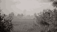 a black and white photo of a field with trees and bushes in the background