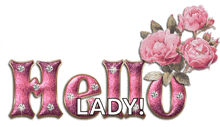 a hello lady sign with pink roses on a white background