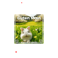 a picture of a rabbit in a field with the words guten moin on it