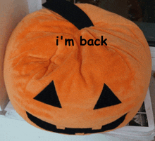 a stuffed pumpkin with the words " i 'm back " on it