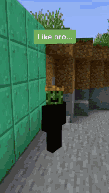 a minecraft character with a cactus on his head and a like bro sign