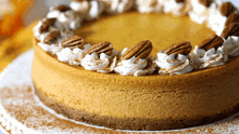 Pumpkin Cheesecake Dessert GIF