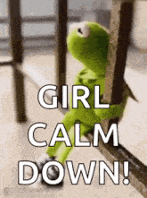 kermit the frog is sitting on a railing holding a railing and says `` girl calm down '' .