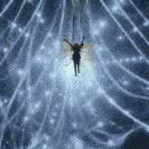 a fairy with wings hanging from a string