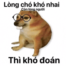 a dog wearing glasses is sitting next to a text that says long cho kho nhau
