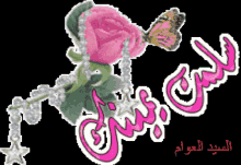 السيدالعوام Pink Rose GIF - السيدالعوام Pink Rose Butterfly GIFs