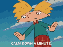 Calm Down Calm Down A Minute GIF - Calm Down Calm Down A Minute Hey Arnold GIFs