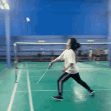 badminton ball run fly