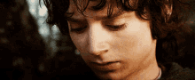 Tears GIF - Frodo Lotr Cry GIFs