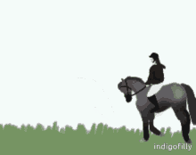 Robin Cantering Horse GIF