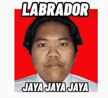 Labradorjayajayajaya GIF
