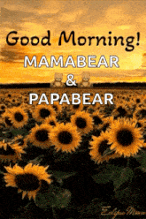 Good Morning Sunflowers GIF - Good Morning Sunflowers Field GIFs