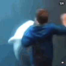 a blurry picture of a man standing next to a dolphin with the number 1/4 on the bottom