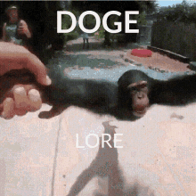 Doge Dogelore GIF - Doge Dogelore Monkey GIFs